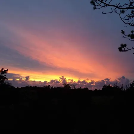 8 Person In Hurup Thy-by Traum 펜션 Sindrup